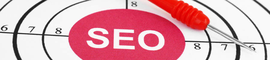Search Engine Optimization & Marketing